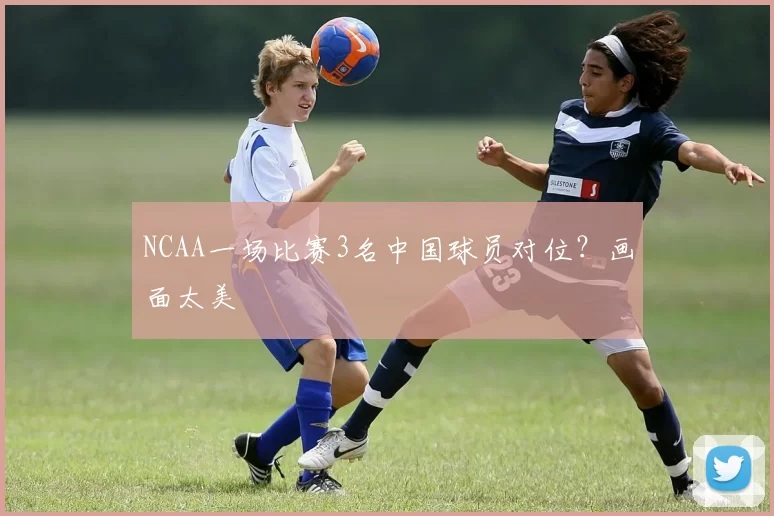 NCAA一场比赛3名中国球员对位？画面太美